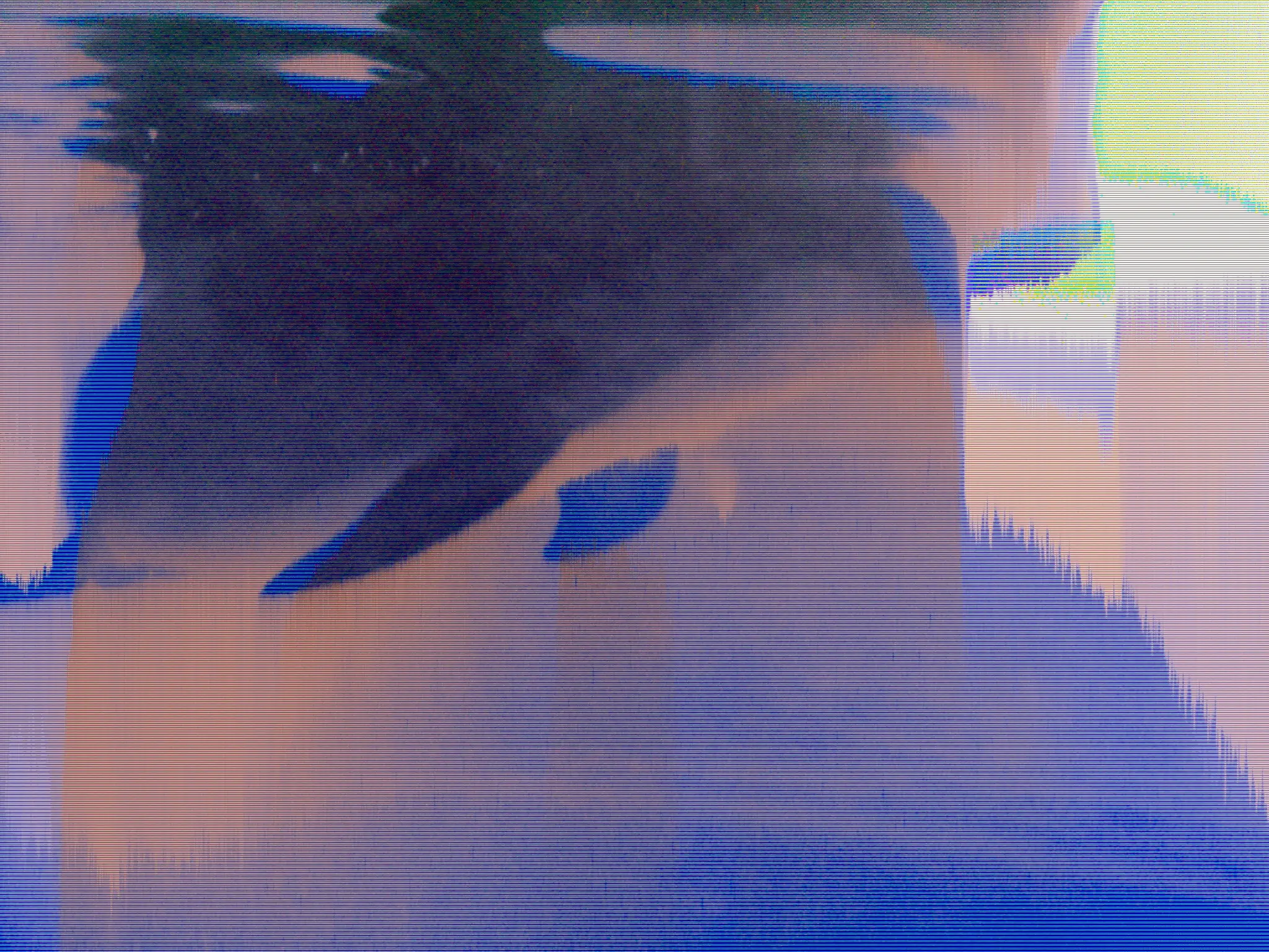 BPMC Paup Eye: Dolphin, Kolmården BPMC Paup Eye: Dolphin, Kolmården